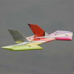 Wowings Booby - RC Glider Kit