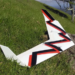 Wowings Duck - RC Glider Kit