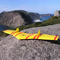 Wowings Skua - RC Glider Kit